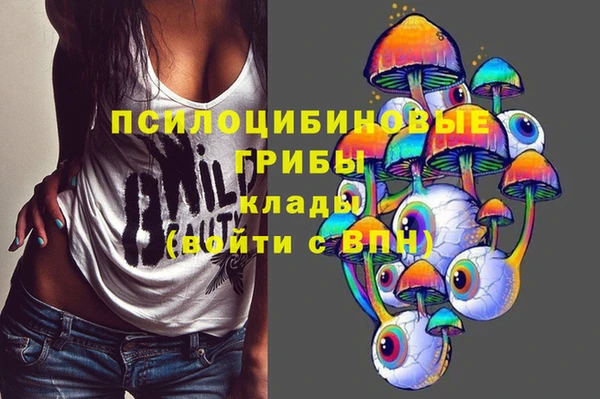гидропоника Армянск