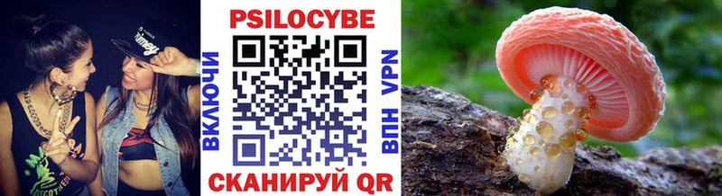 хочу   сайты даркнета состав  Псилоцибиновые грибы Cubensis  Калининск 